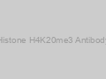 Histone H4K20me3 Antibody